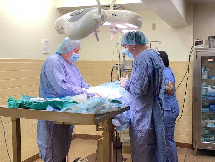 Allentown Veterinary Surgeries
